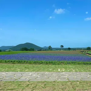 카페보롬왓 리뷰 사진