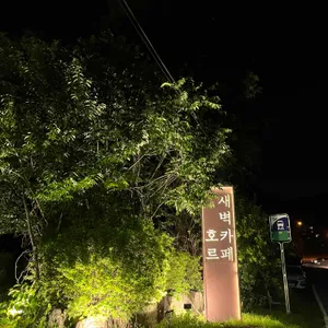 새벽카페 호르 리뷰 사진