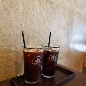 커피투어 사진
