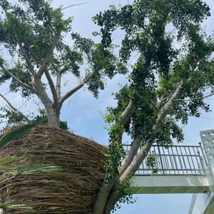 1971카페 리뷰 사진