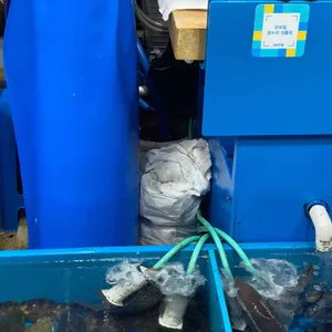 포항상회 리뷰 사진