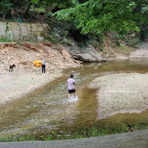 진달래 동산 리뷰 사진