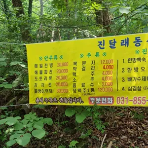진달래 동산 리뷰 사진
