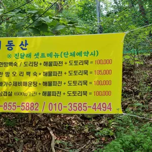 진달래 동산 리뷰 사진