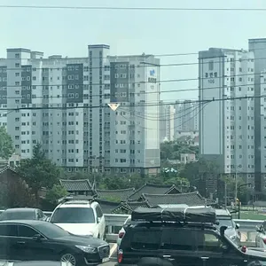 커피나무 리뷰 사진