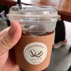 커피나무 사진