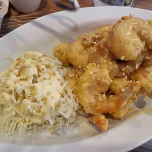 셰프 팬더 사진