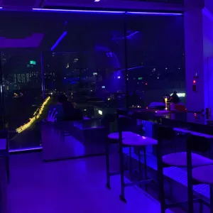 Projec D 리뷰 사진