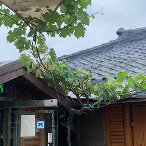 다다물회집 리뷰 사진