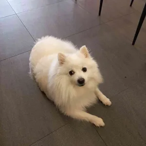 Dieu Monde 리뷰 사진