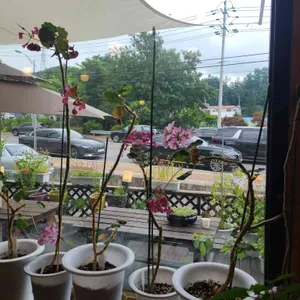 카페 로스터리 티파니 사진