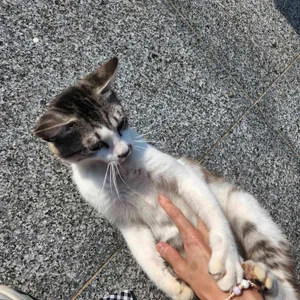 만천하 스카이라운지카페 리뷰 사진