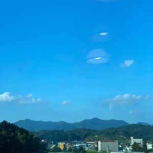 초록원 리뷰 사진