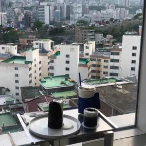 테르트르 사진