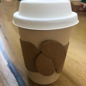 벌스투 사진
