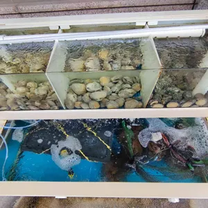 광수네 리뷰 사진
