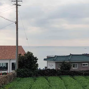 카페 팀블로우 리뷰 사진