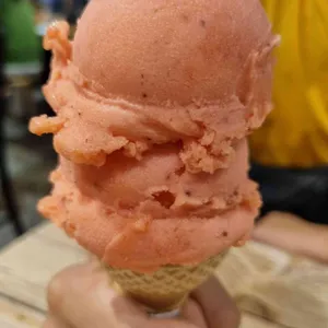 페르케노 대표 사진