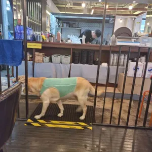 아이엠돈까스 리뷰 사진