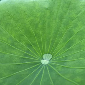 하동농원 리뷰 사진