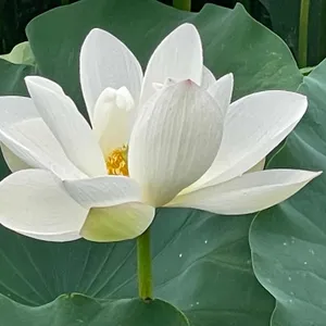 하동농원 리뷰 사진