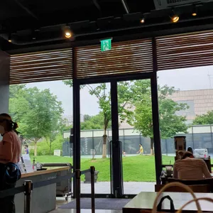 오설록 리뷰 사진