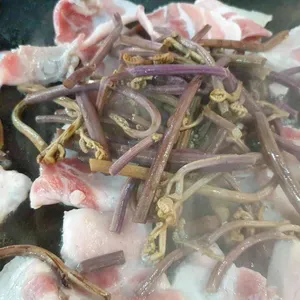 국가대패 사진