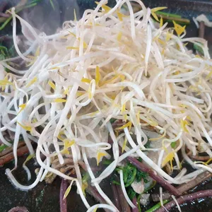 국가대패 사진