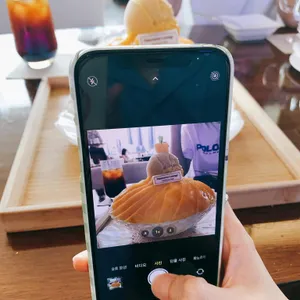 까밀리아 리뷰 사진