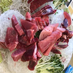 김상현참치 사진