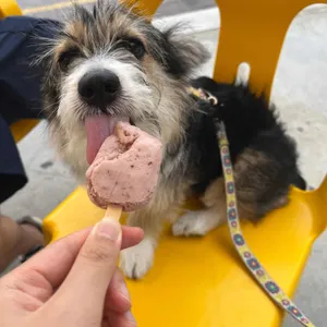 옐로우스탑 리뷰 사진