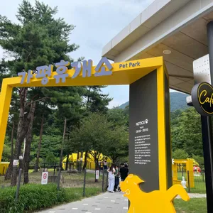 옐로우스탑 리뷰 사진