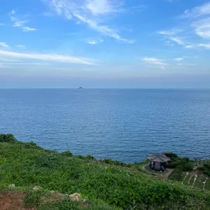 시골할매 막걸리 리뷰 사진