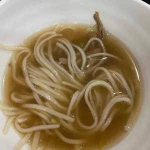 쟈스민 사진