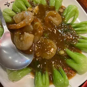마라 사진