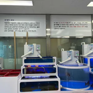 사시미 리뷰 사진