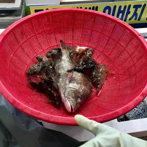 광한루 춘향골 사진