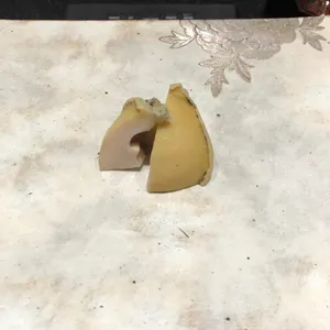 하레마 리뷰 사진