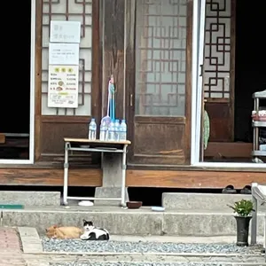 금산재칼국수 리뷰 사진