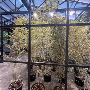 옐로커피 리뷰 사진