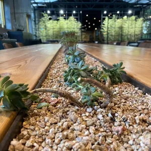 옐로커피 리뷰 사진