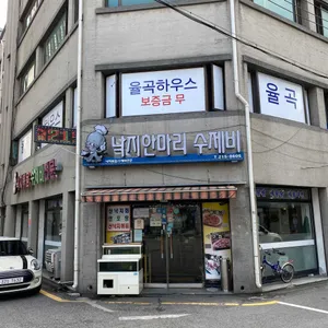 낙지한마리수제비 리뷰 사진