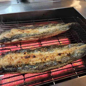 동호민물장어 사진