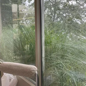 빈타이 리뷰 사진