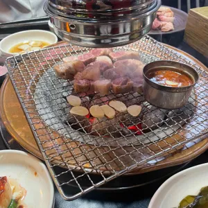 제주도야지 사진
