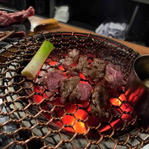 램앤솔트 사진