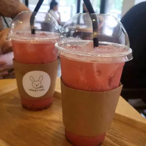 오랑지 사진
