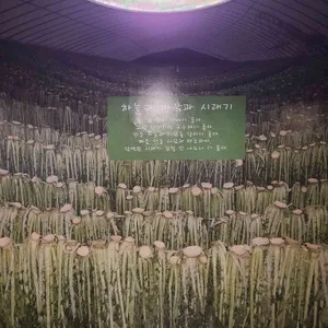 시래불고기 화풍정 리뷰 사진