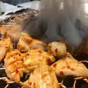 연타발  사진