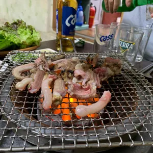 초원꼼장어 사진
